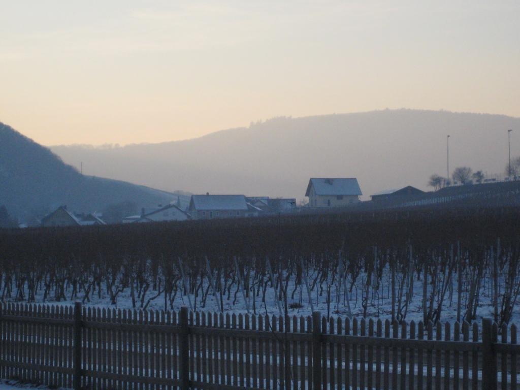 Moselschoen Das Ferienhaus Brodenbach Oda fotoğraf