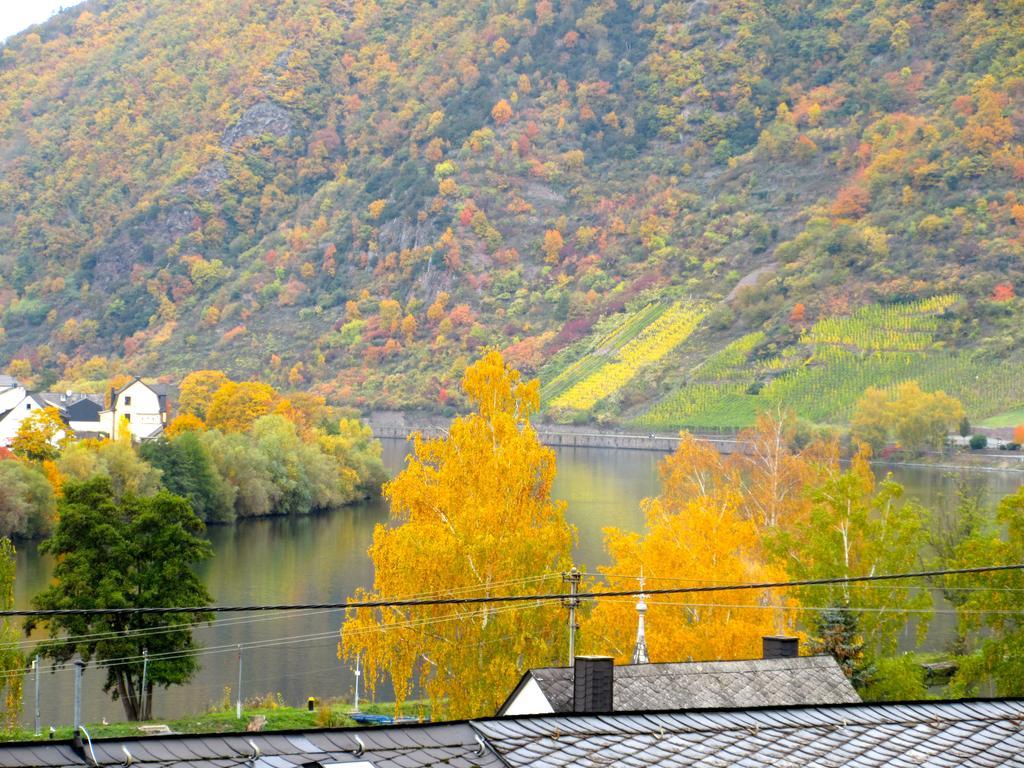 Moselschoen Das Ferienhaus Brodenbach Oda fotoğraf